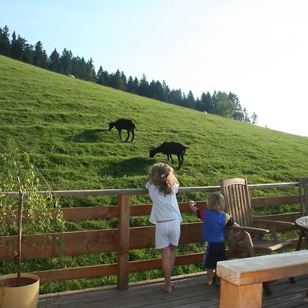 Friesenhof Blank * Sulzberg (Bregenz)