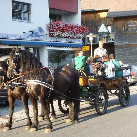 Friesenhof Blank Sulzberg (Bregenz)